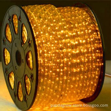 LED Rope Light, Decorative Light, Professional Manufacturer with Huge Output
